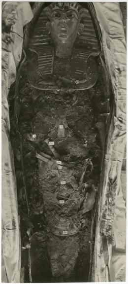 image of photographic print of king's mummy within coffin in object card