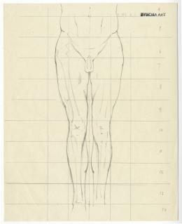 scientific notes autopsy page 5
