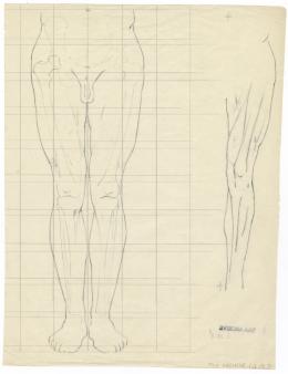 scientific notes autopsy page 7