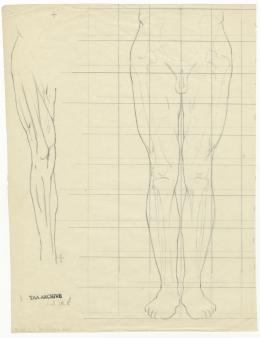 scientific notes autopsy page 8