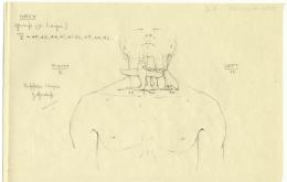 objects found on Tutankhamun's body: neck