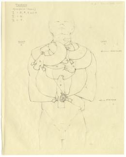 objects found on Tutankhamun's body: thorax