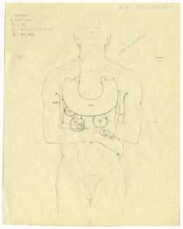 objects found on Tutankhamun's body: thorax