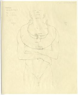 objects found on Tutankhamun's body: thorax