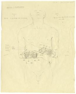 objects found on Tutankhamun's body: drawing arms - forearms
