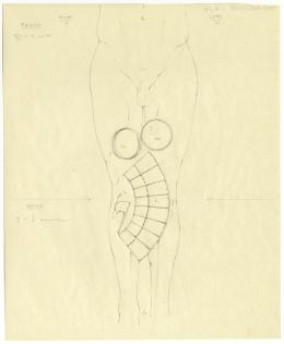 objects found on Tutankhamun's body: thighs