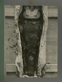 image of king's mummy within coffin from Burton's album
