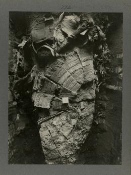 image of a close-up of the torso of the king's mummy from Burton's album