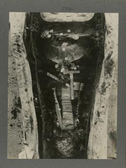 image of king's mummy within coffin from Burton's album