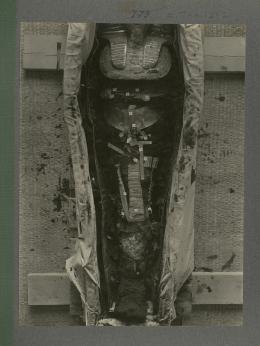 image of king's mummy within coffin from Burton's album