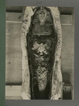 image of king's mummy within coffin from Burton's album