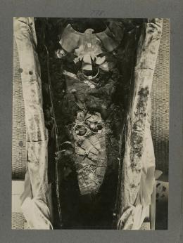 image of king's mummy during unwrapping within coffin from Burton's album
