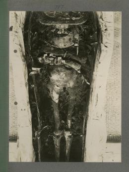 image of king's mummy during unwrapping within coffin from Burton's album
