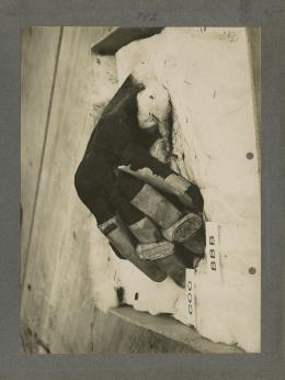 image of king's hand from Burton's album