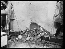objects in room