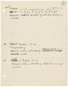Handwritten notes on paper
