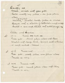 Handwritten notes on paper