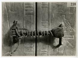 Black and white photograph of seal