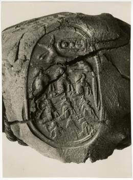 Black and white photograph of seal
