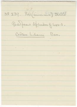 Handwritten notes on paper
