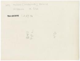 Handwritten notes on paper