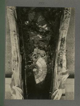 mummy in coffin