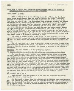 Typed notes on paper