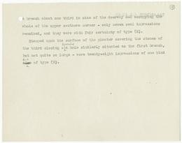 Typed notes on paper 