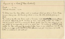 Handwritten notes on paper