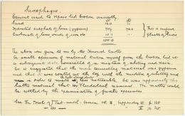 Handwritten notes on paper